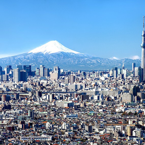 Toki  vpozadí s horou Fuji.