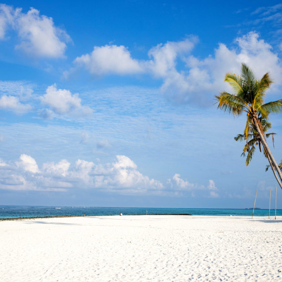 Užijete si relax na pláži.