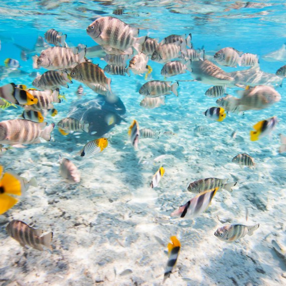 Čeká vás ráj na zemi