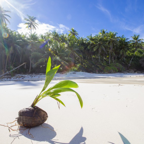 Nádherné pláže vánočního ostrova 