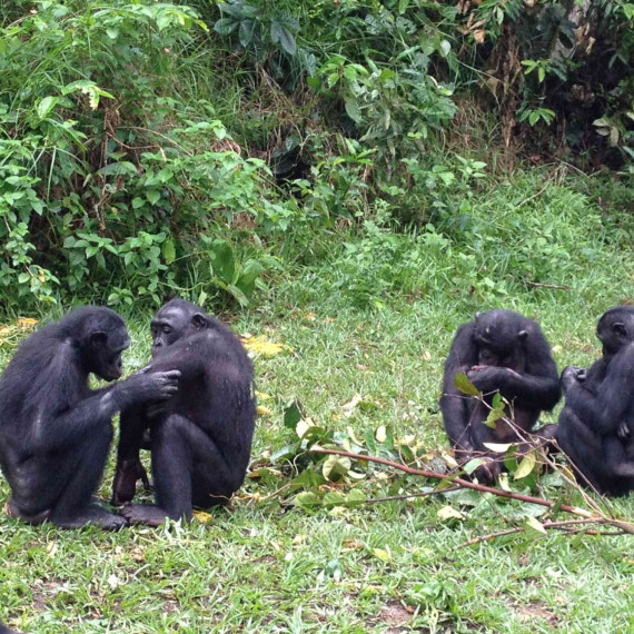 Naší zastávkou je 