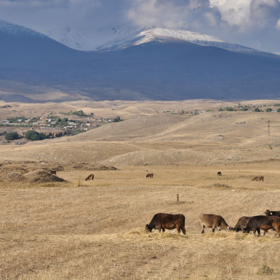 Země Syuniku je klidná, posetá pastvinami a kopci.