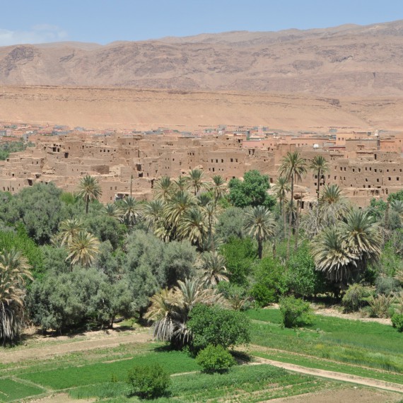 Datlové oázy kam se podívate