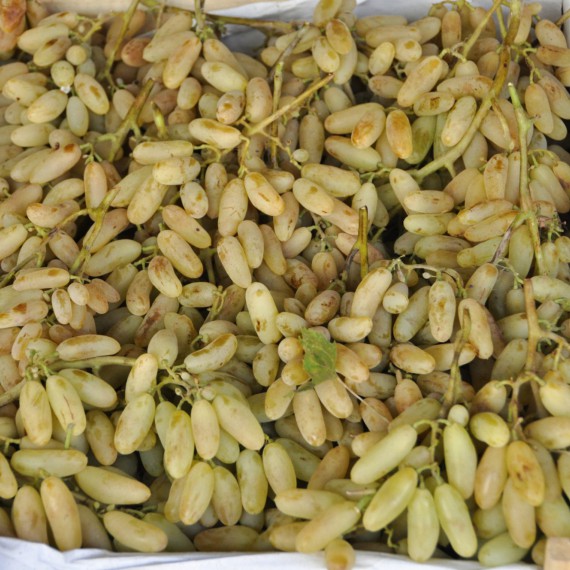 Samarkandské hrozny jsou jiné než známe z domu, ale svou sladkostí si vás podmaní.