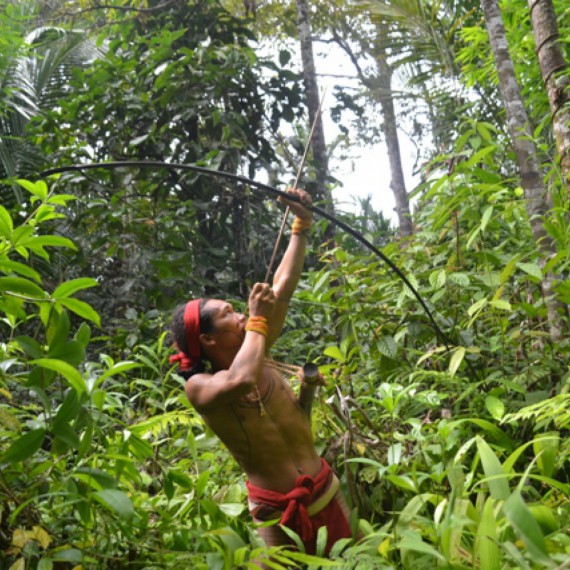 Na lovu uprostřed džungle