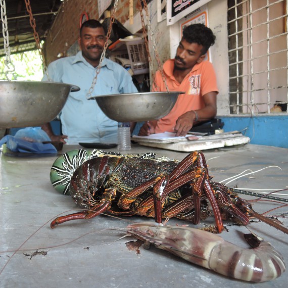 Čekají vás pravé gurmánské hody