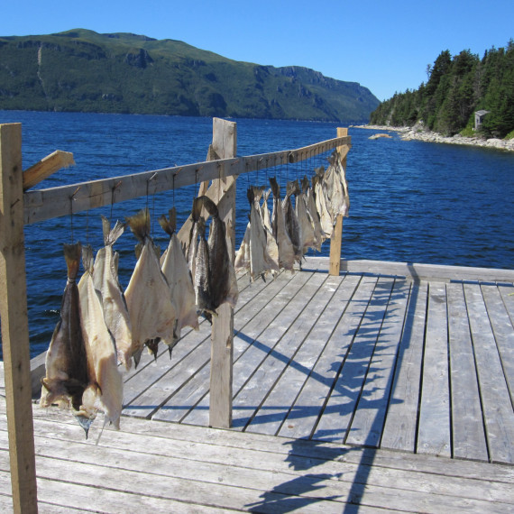 Národní park Gros Morne