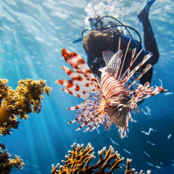 Fantasický podmořský svět v Egyptě 