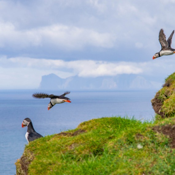 Návrat domů z měsíců na moři