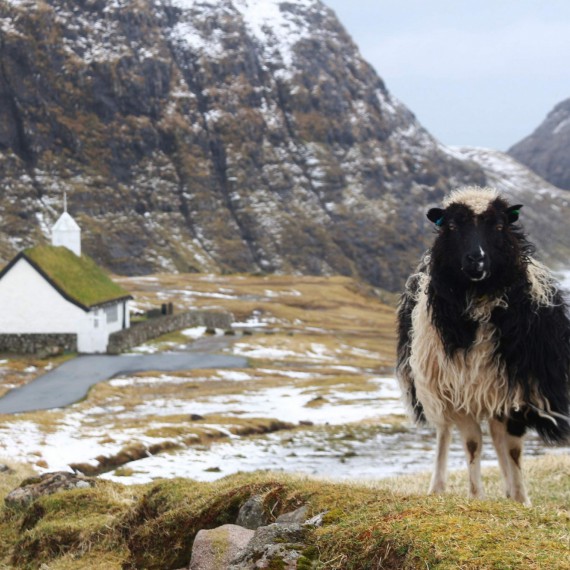 Poznáme všechny obyvatele