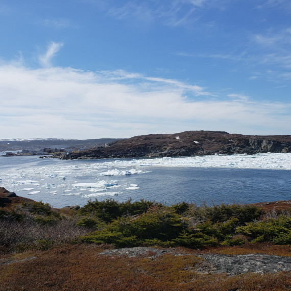 Nádherný region s členitým mořským pobřežím je dnes hlavním centrem pro pozorování ledovců.