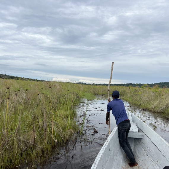 Brzy ráno zazvonil budík a my se vydáváme hledat vzácného člunozubce. Uvidíme ho?
