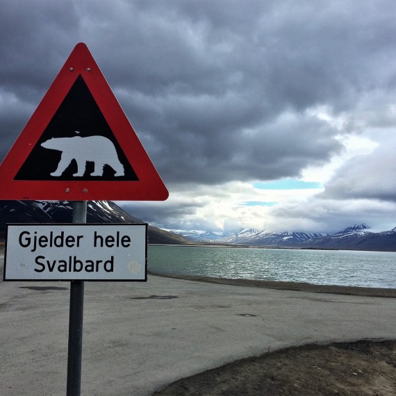 Pozor medvědi. Vítejte na Špicbercích!