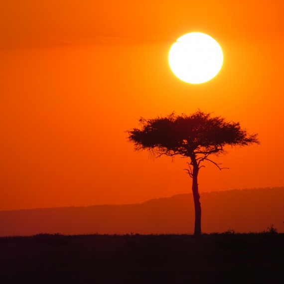 Kouzelné západy slunce nad africkou savanou.