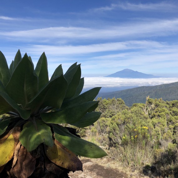 Během cesty se nám naskytnou neskutečné scenerie