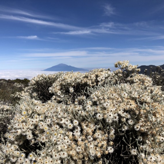 Krásy náhorní planiny