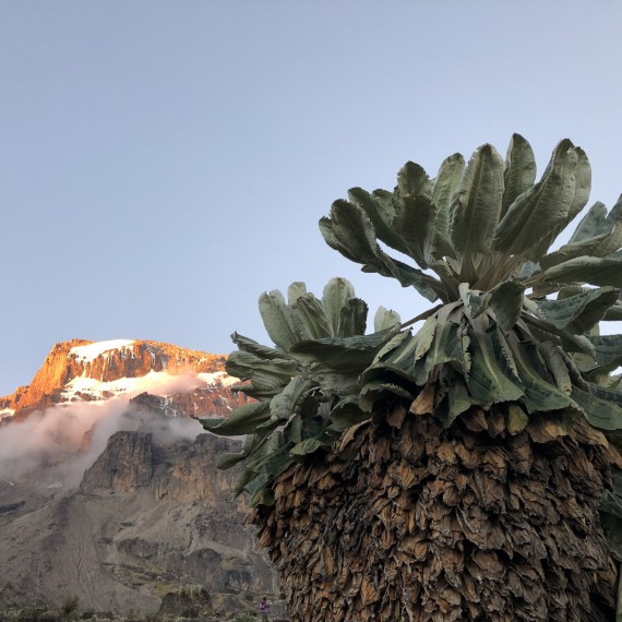 Úžasný den se spoustou krásných výhledů