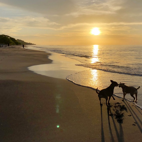 Doporučujeme přivstat si na východ slunce