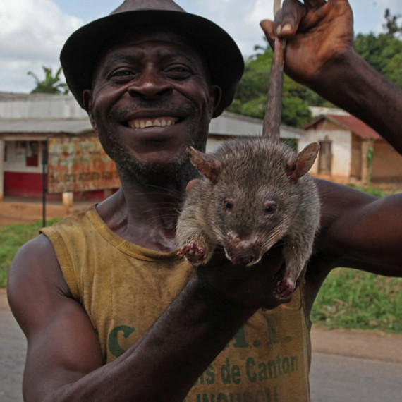 Zlusíte domorodou stravu?