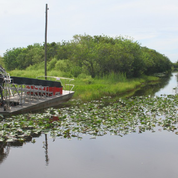 Na vznášedlech po močálech v Everglades