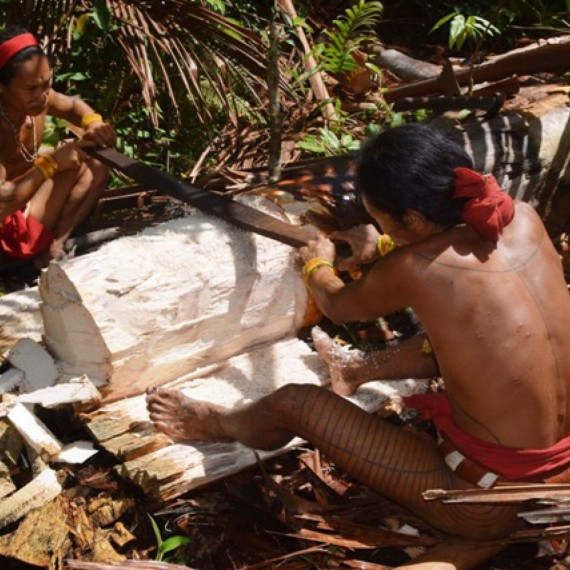 Život uprostřed siberutské džungle není jednoduchý