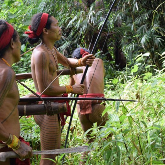 V džungli Siberutu žije mnoho zvířat, najdeme nějaká?
