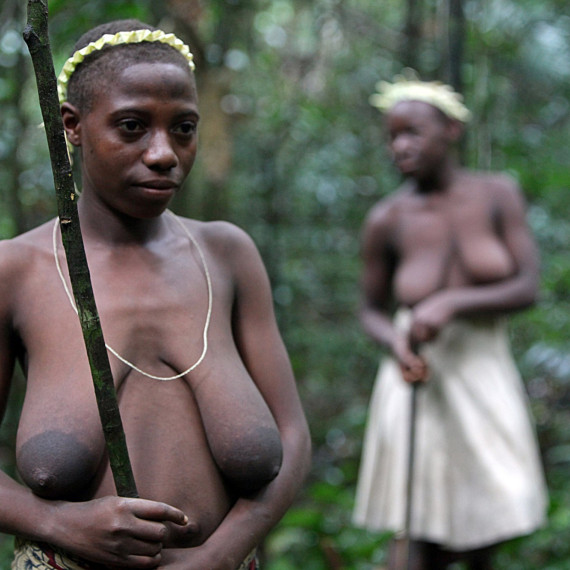 I v džungli jste s kanceláří SEN v bezpečí. Toto je 5 hvězdičkový zážitek.