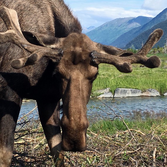I taková setkání vás čekají