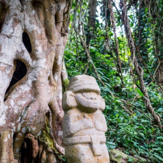 zelená džungle, ale i vysoké Andy