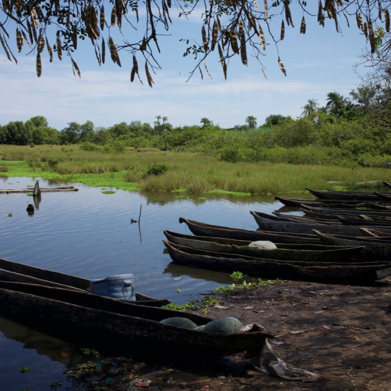 Lodičky domácích rybářů.