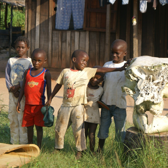 Že jsme v Africe dokazují i ​​pozůstatky divokých zvířat, jako je tato lebka slona.