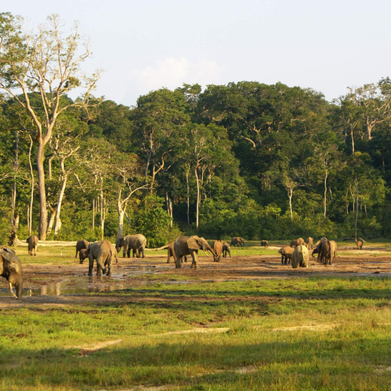 Vydáme se i na safari do nedalekého parku, kde lze pozorovat několik druhů zvířat.