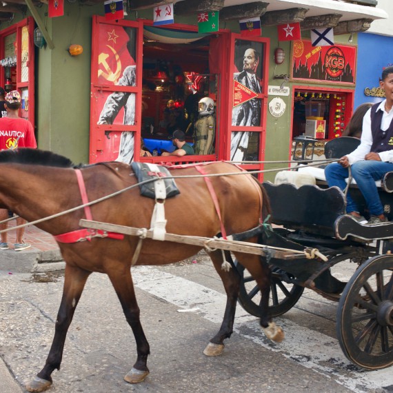 Projet se můžete na kočárech taženými koňmi