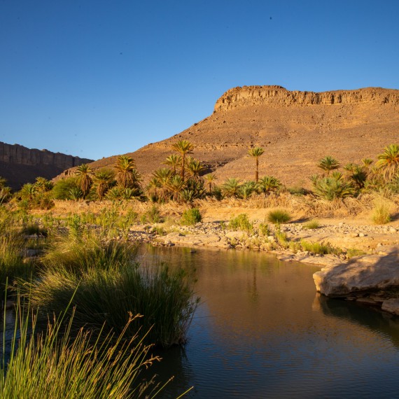 Oáza Ihrir a guealta plná vody