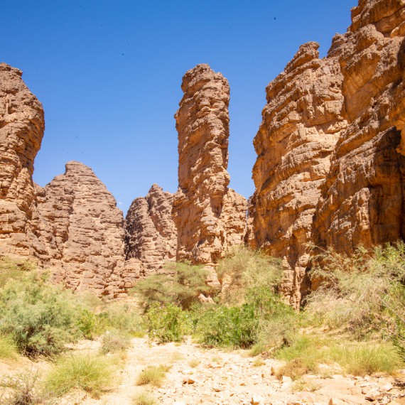 Čas oběda - hlavní věc je najít stín 