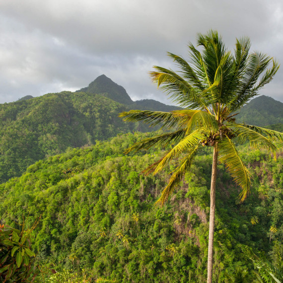 Pohled na horu Gimie (950 m) a bohatou přírodu podél silnice jižně od Castries.