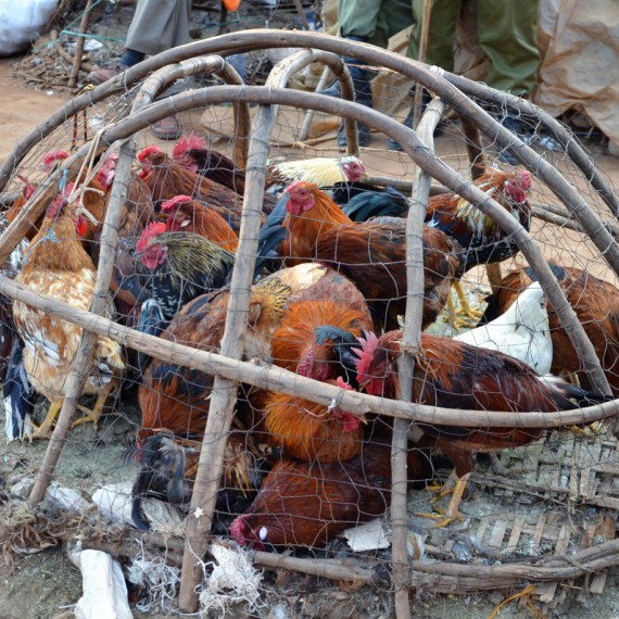 K dostání je zde vše