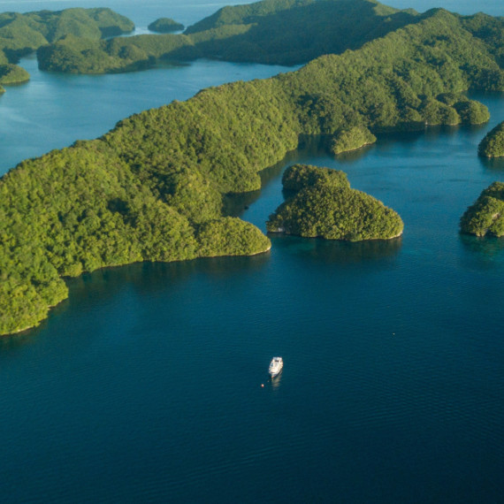 Palau je mini stát o rozloze necelých 500 čtverečních kilometrů leží v Tichém oceánu v jihozápadní Mikronésii.