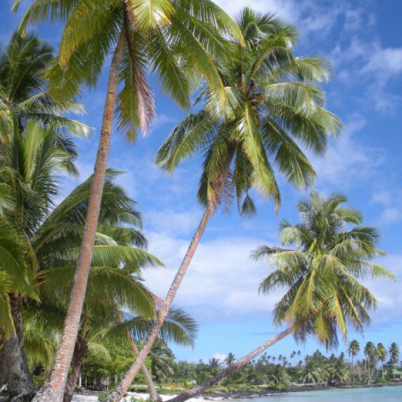 Guam je největším ostrov Mikronésie 