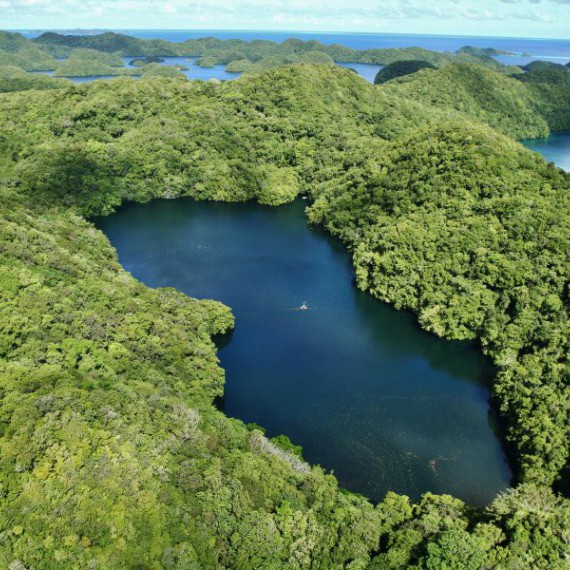 Ponoříte se do jezera plného medúz?