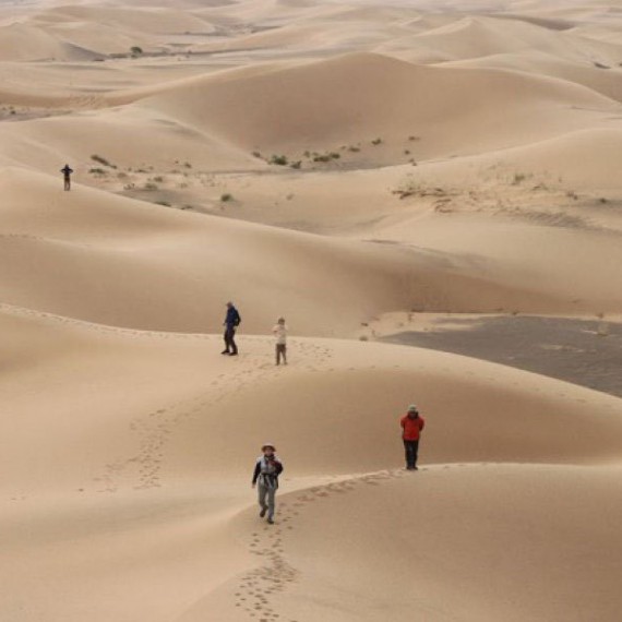 Písešné duny Khongorin Els, které skrývají mýtického červa s příznačným názvem Olgoj Chorchoj