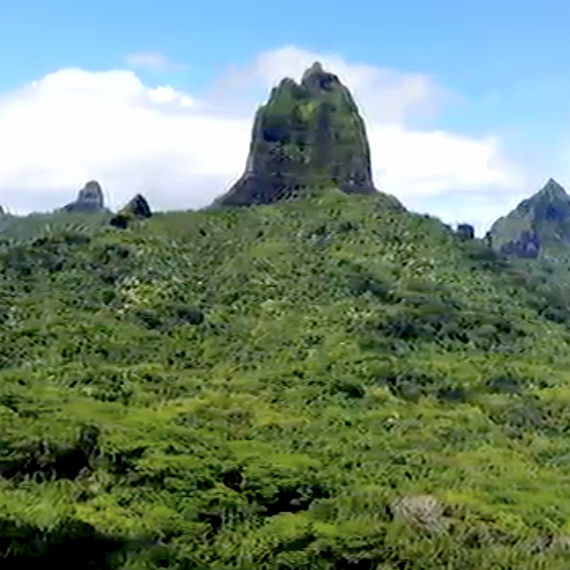 Nádherná tropická příroda na ostrově Moorea 
