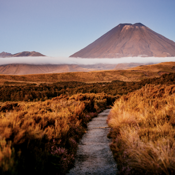 Národní park Tongariro 