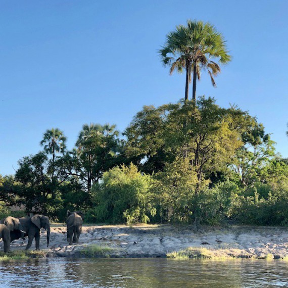Řeka Zambezi v NP Zambezi 