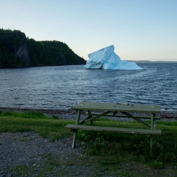 Newfoundland & Labrador je 8x větší než Česko. Ze severských zemí se jedná a skutečnou exotiku. 