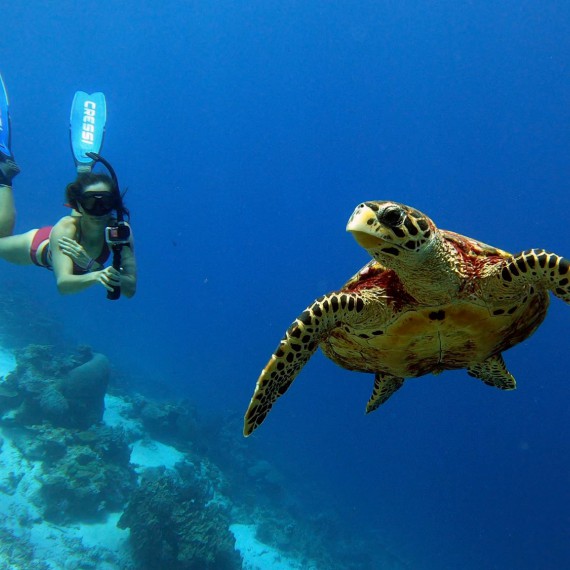 Podmořský svět nabízí velkolepé pohledy