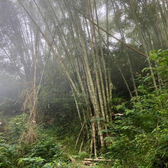 Užijete si kousek přírody této oblasti
