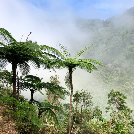 Poznáte i místní vegetaci