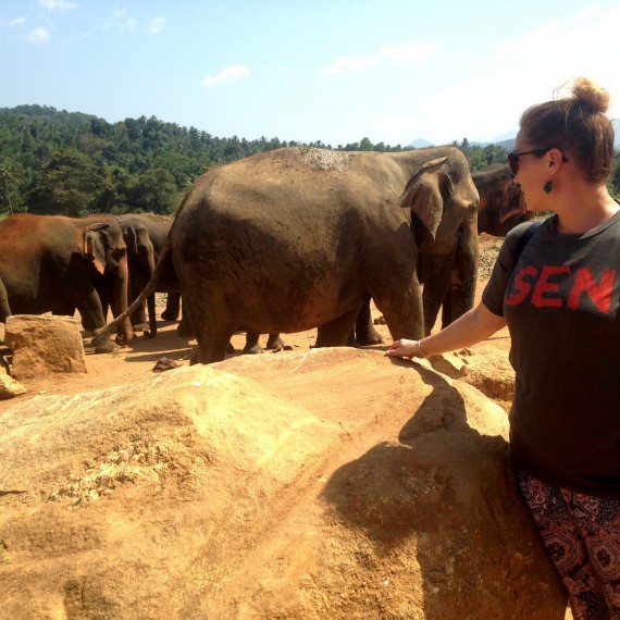 S CK SEN navštívíte sloní sirotčinec