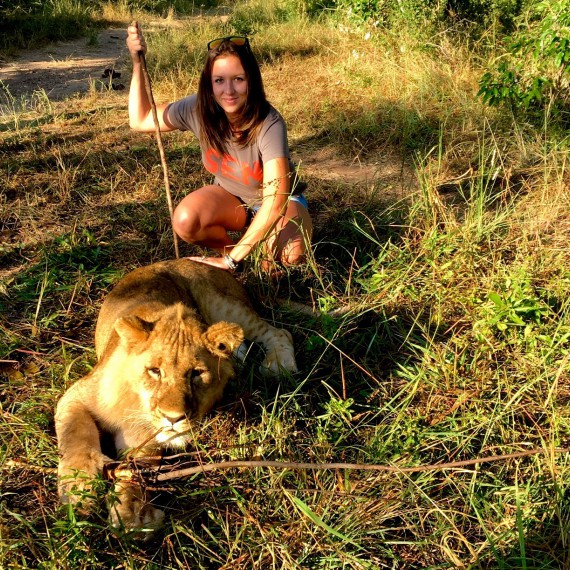 Lvi v záchrané stanici